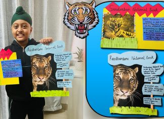 Learn About 2 Tiger Sanctuary in India | Ranthambore National Park | Sundarban National Park